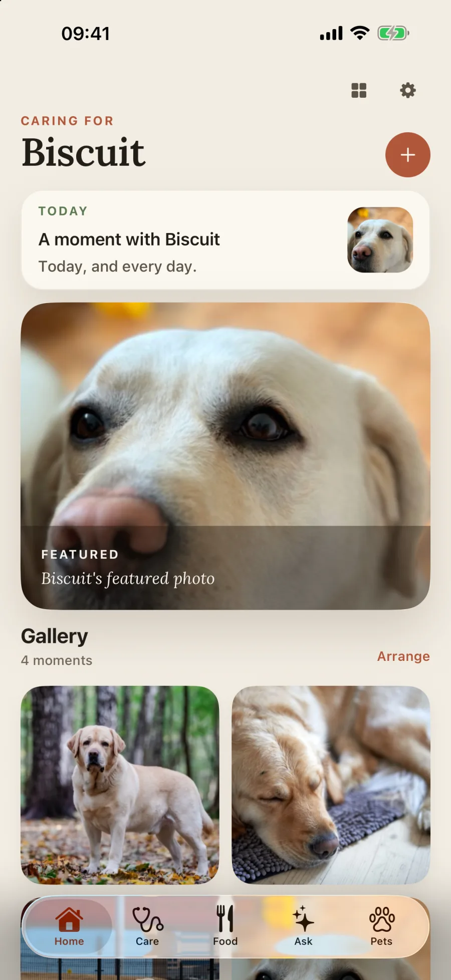 Furloom pet profile, featured photo, and gallery on iPhone
